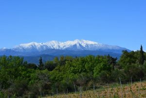 Plaine du Roussillon et Mont Canigou