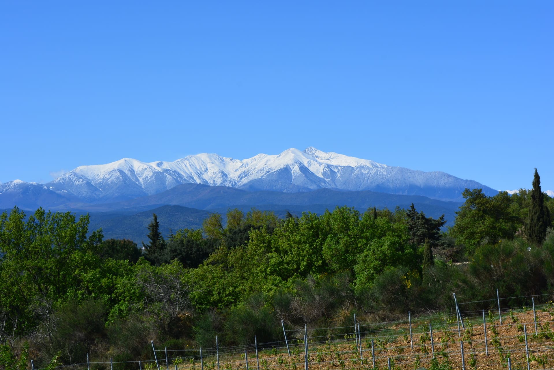 Plaine du Roussillon et Mont Canigou